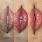 Bare – Evenflo 15 ML