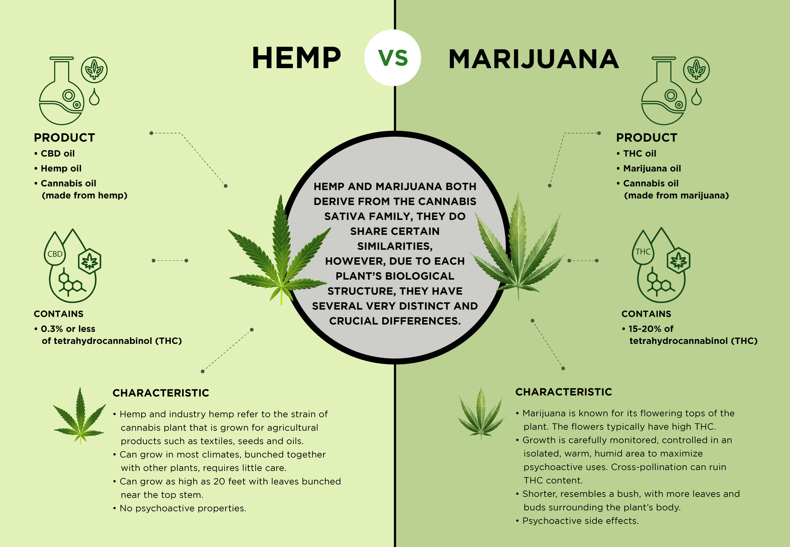 Mesohemp - Hemp Seed Oil Mask - 25g